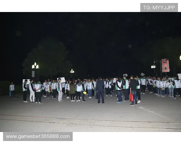 bet365 在线体育投注的投注技巧与专家分析助你提升投注胜率