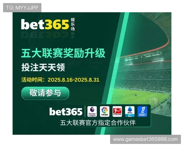 bet365中国网址最新入口推荐，确保玩家安全稳定登录体验全面升级